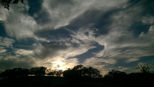 Silhouette of trees at sunset