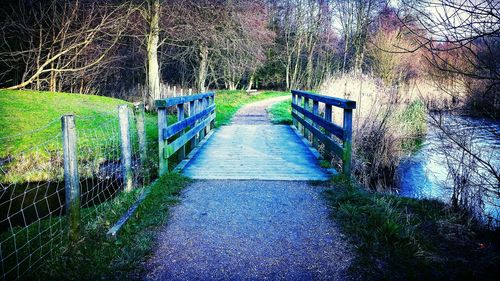 Empty road along trees