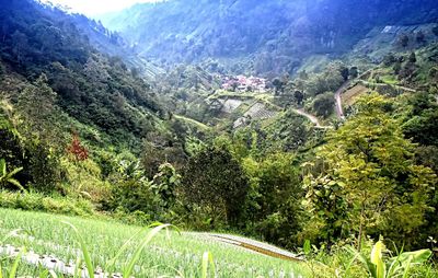 Scenic view of landscape