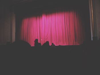 Silhouette of people at music concert