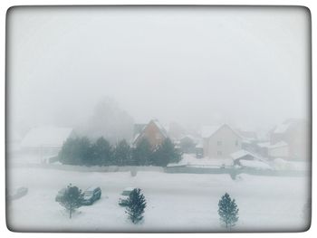 Trees and houses against sky during winter