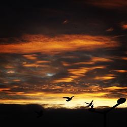 Low angle view of cloudy sky at sunset