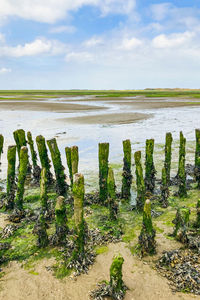 Scenic view of beach against sky