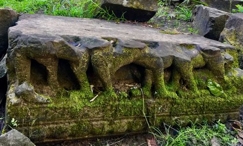 Close-up of elephant sculpture