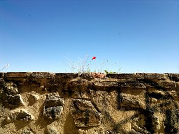 Low angle view of built structure against clear sky