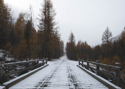 Snow covered trees against sky