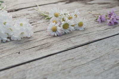 Close-up of white flowers growing on wooden floor