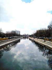 Reflection of trees in water