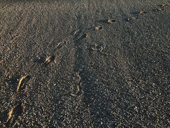 Full frame shot of sand