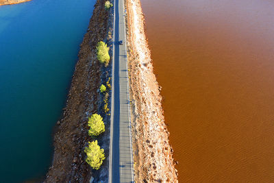 High angle view of plants on beach