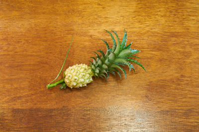 Close-up of fruit on table