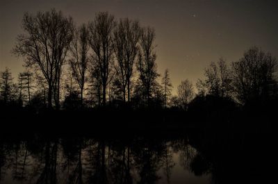 Silhouette trees by lake against sky at night