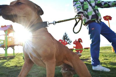 Low angle view of woman