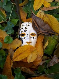 Close-up of heart shape