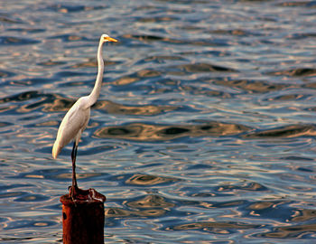 Crane on bollard against sea