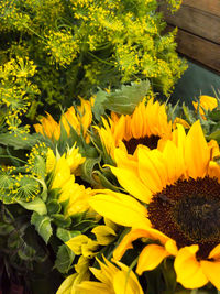 Close-up of fresh sunflowers blooming in garden