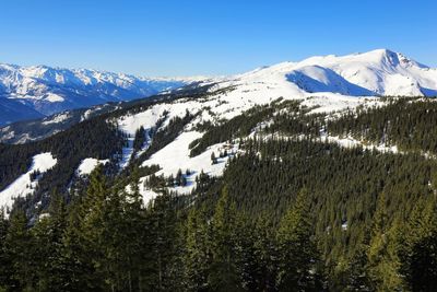 Panoramic aerial view of sunny alp landscape with snow summits and evergreen forest