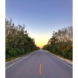 Empty road along trees