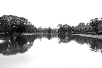 Reflection of trees in calm lake