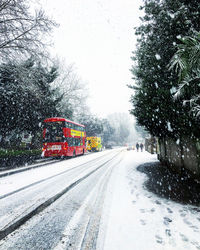 Road by trees in city during winter