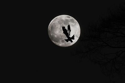 Low angle view of silhouette bare tree against sky at night