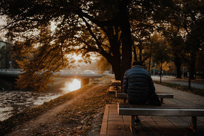 Rear view of man sitting on bench in park