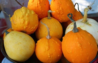 Close-up of pumpkins for sale at market stall