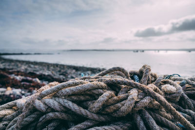 Close-up of rope tied to bollard on sea shore