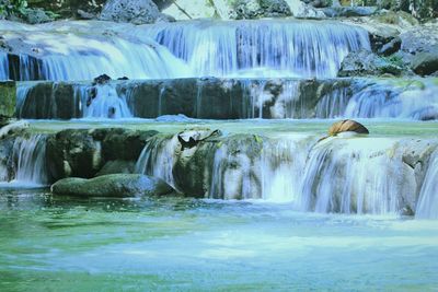 Scenic view of waterfall