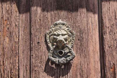 Close-up of cat on wooden door