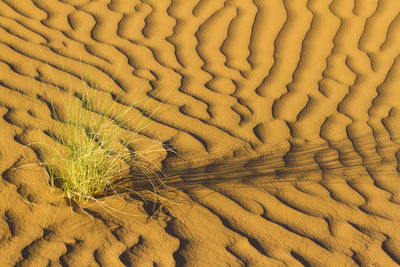 Full frame shot of sand
