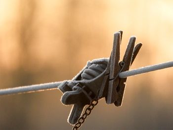 Close-up of rope tied on metal