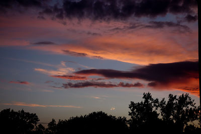 Low angle view of silhouette trees against dramatic sky