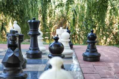 Large chess pieces against plants