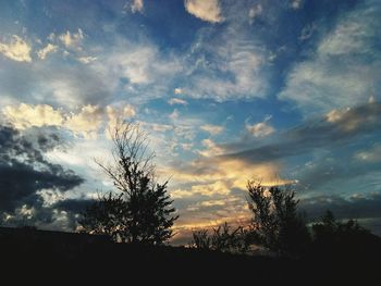 Silhouette of trees against cloudy sky