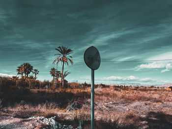 Plants growing on field against sky