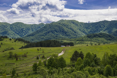 Scenic view of landscape against sky