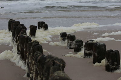 Scenic view of beach during winter