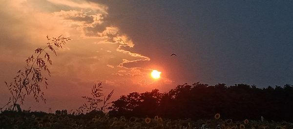 sky