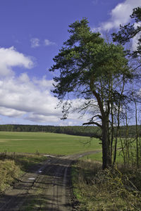 Scenic view of land against sky