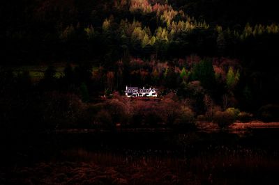 Built structure in forest at night