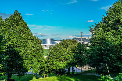 Plants and trees against sky