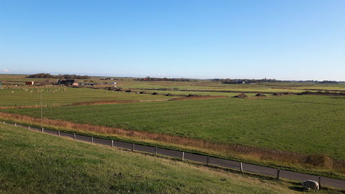 Scenic view of field against clear sky