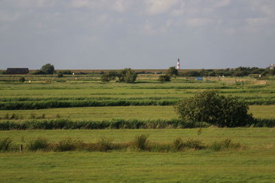 Scenic view of grassy field against sky