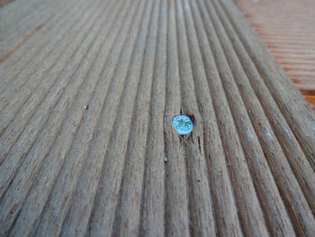 Close-up of screw on wood