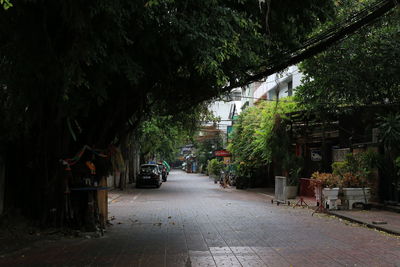 Street amidst trees and buildings in city