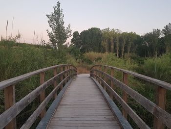 Footbridge along plants and trees against sky