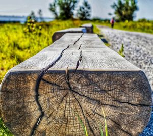 Close-up of log on field