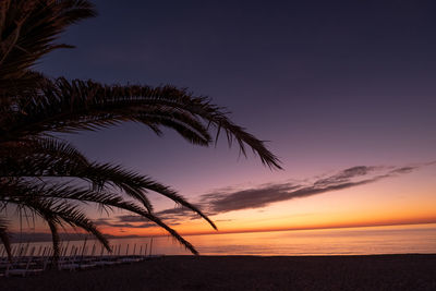 Silhouette palm tree by sea against sky during sunset