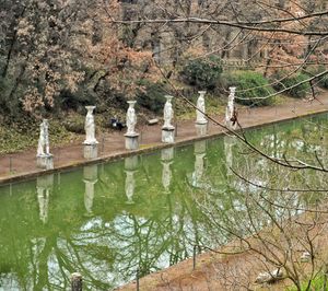 Scenic view of flower trees in water